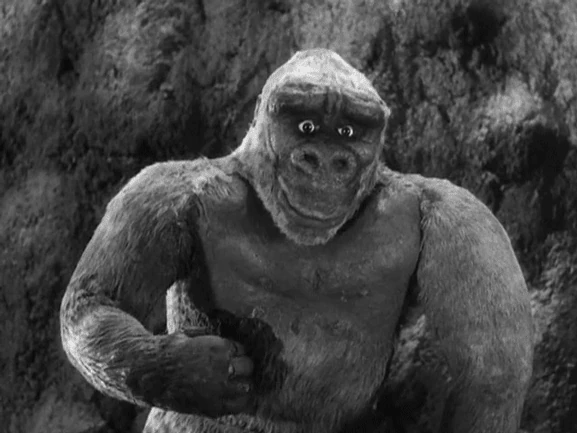 LittleKong.gif LittleKong.gif