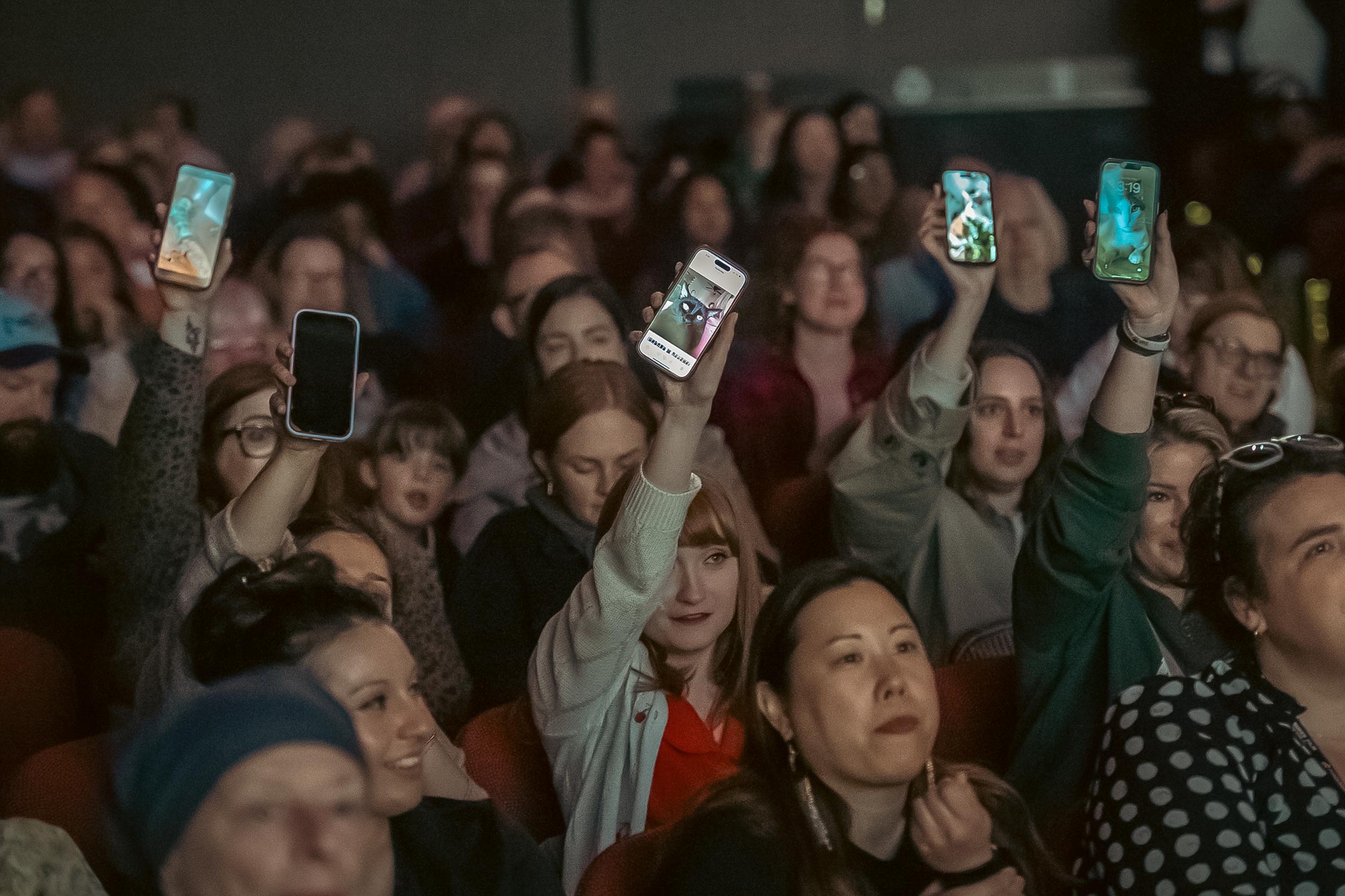 Audience members holding up their phones with images of cats on them during 25 Cats of Qatar screening at MFF25.