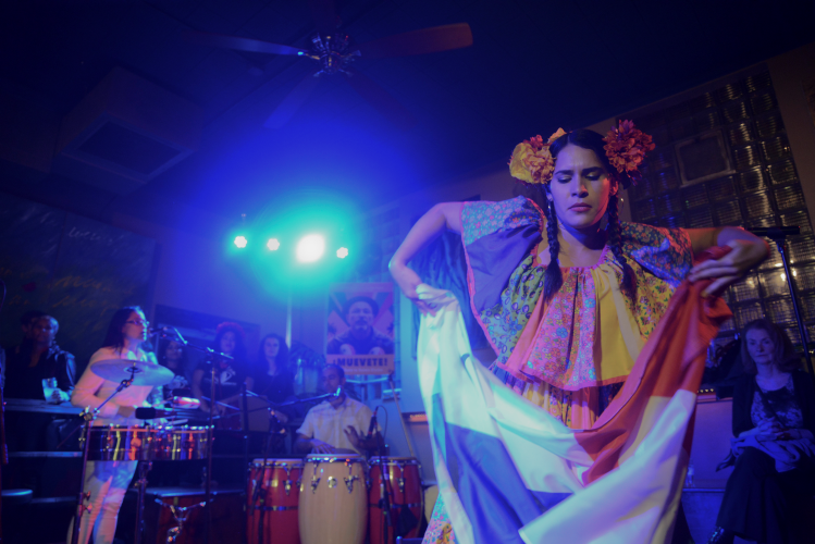 CSF performance Sugar Maple