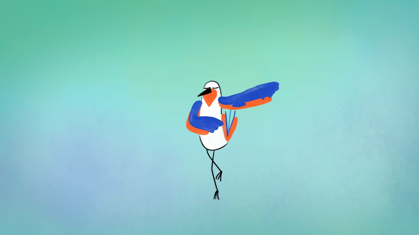 A still from the short film BAIAO D'INTERIEURS