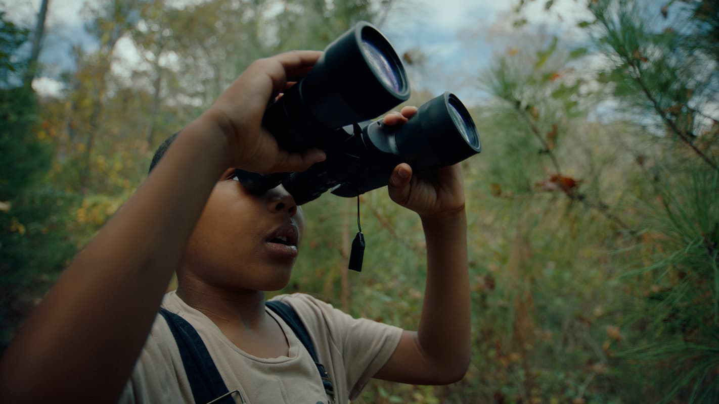 A still from the short film THE BOYS AND THE BEES