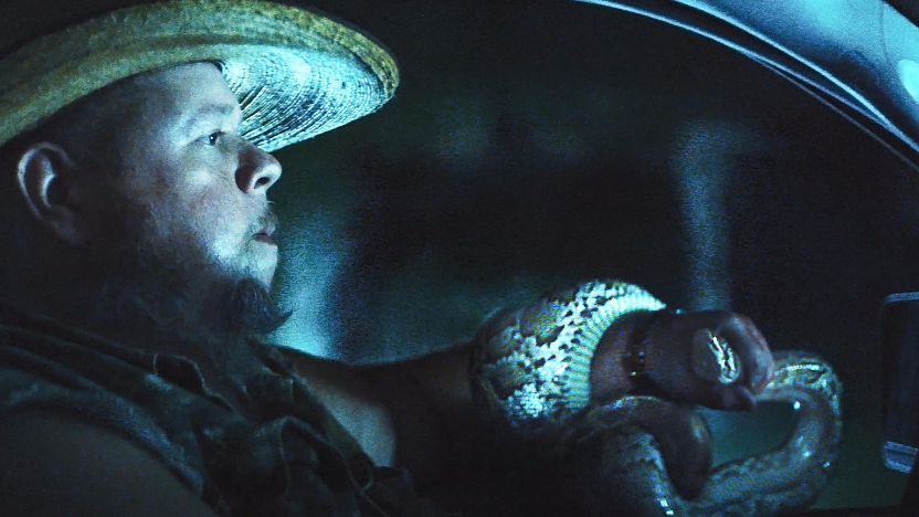 A still from the film THE PYTHON HUNT