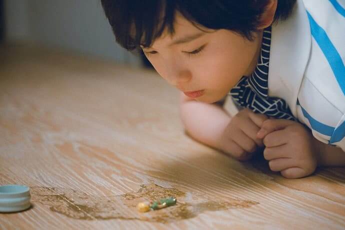 Sheep In The Box Film Still